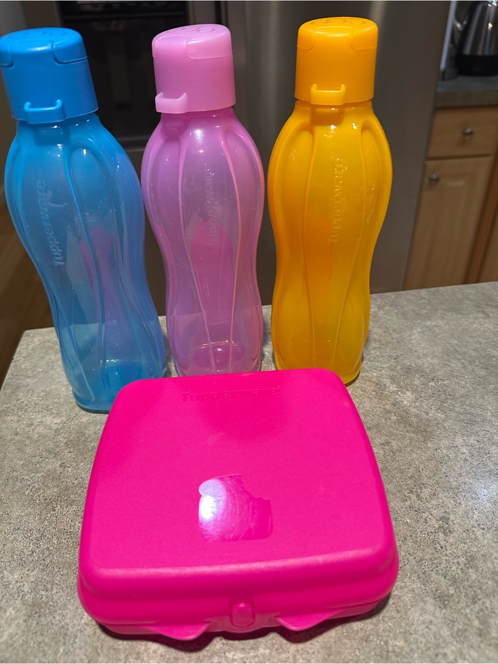 Tupperware Blue, Pink, Yellow Bottle Trio with Hot Pink Sandwich Box